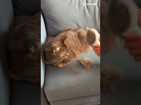 Cepillo para mascotas 2 en 1